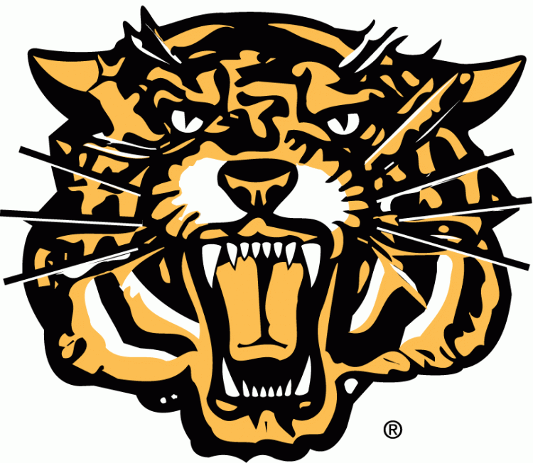 hamilton tiger-cats 1999-2004 secondary logo iron on transfers for clothing